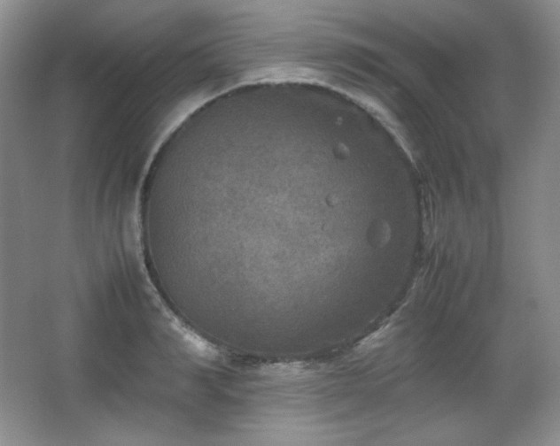 X0000067500990200604071222