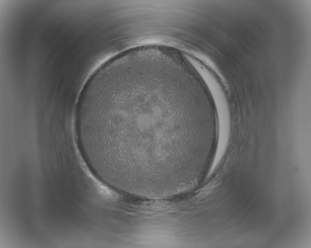 X0000067500991200604071222