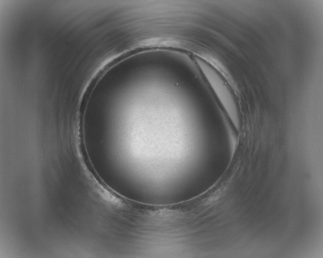 X0000067500992200604071221