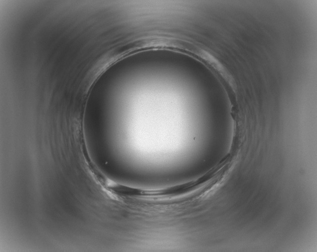 X0000067500993200604071221