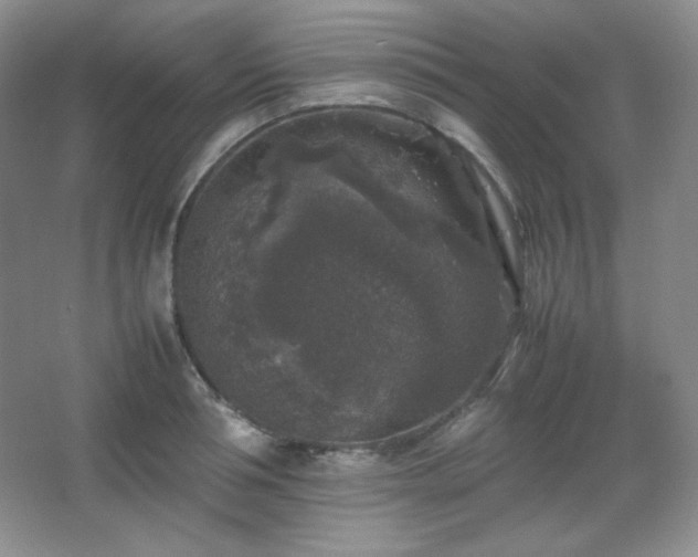 X0000067500994200604071221