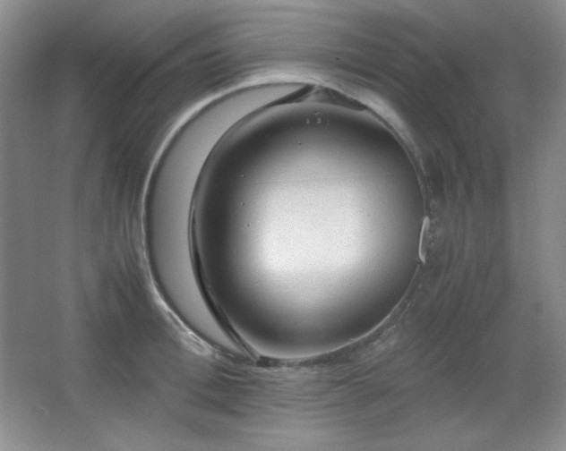 X0000067500996200604071221