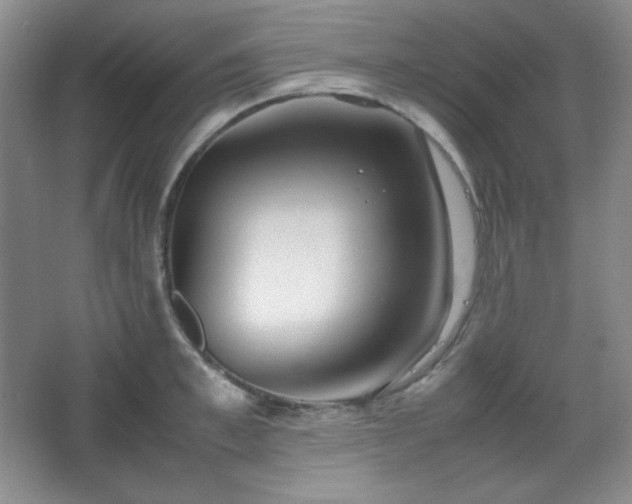 X0000067500997200604071221