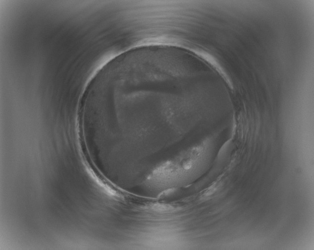 X0000067500998200604071221