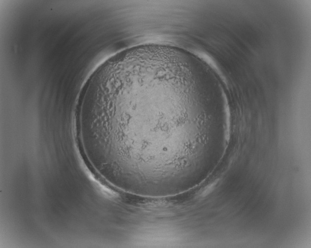 X0000067500999200604071221