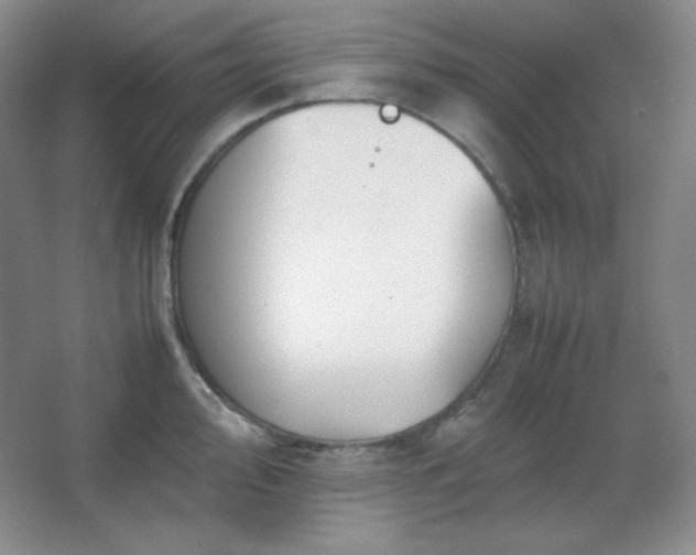 X0000067501000200604071221