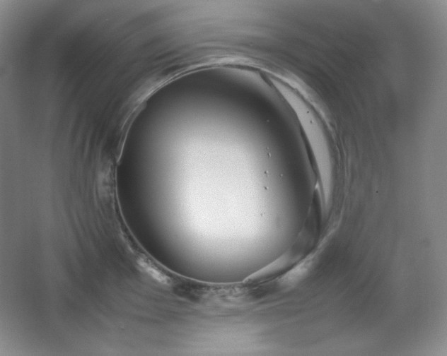 X0000067501001200604071221