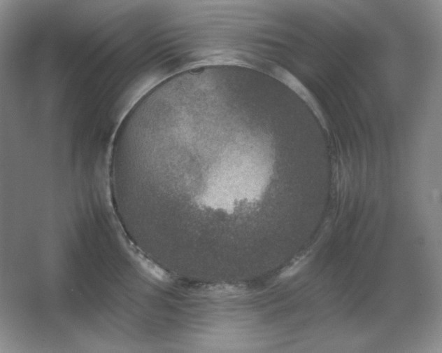 X0000067501002200604071221