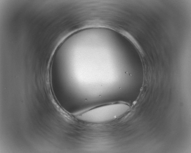 X0000067501004200604071221