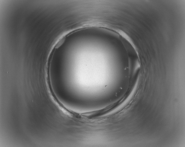 X0000067501005200604071221