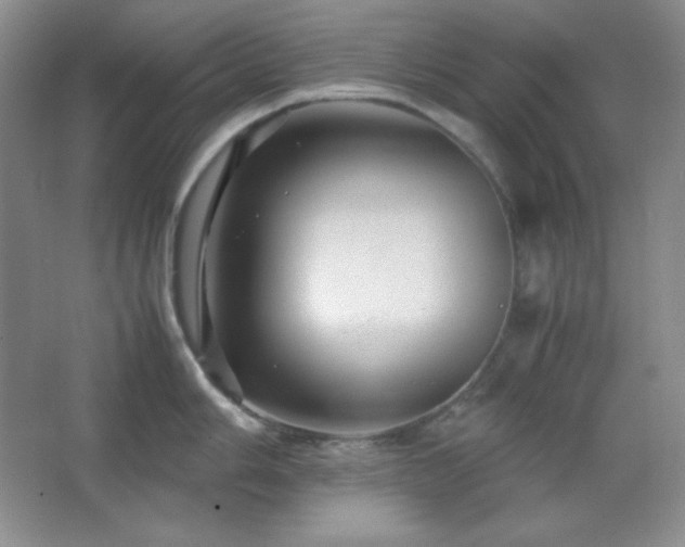 X0000067501006200604071221