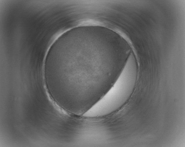 X0000067501008200604071221