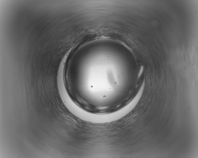 X0000067501010200604071220