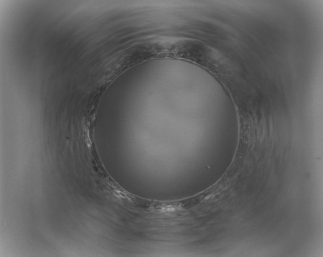 X0000067501013200604071220