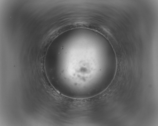 X0000067501015200604071221