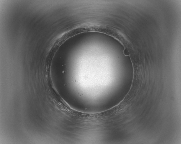 X0000067501016200604071221