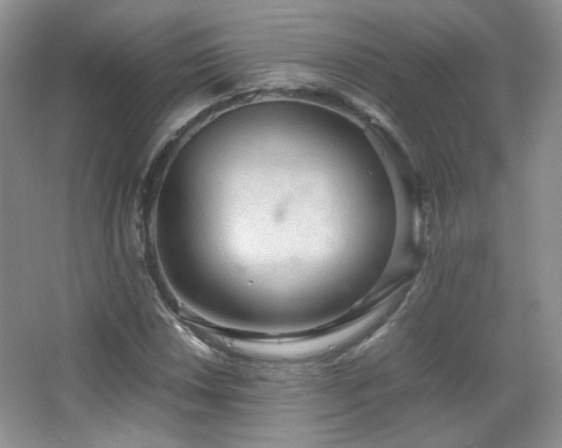 X0000067501018200604071221