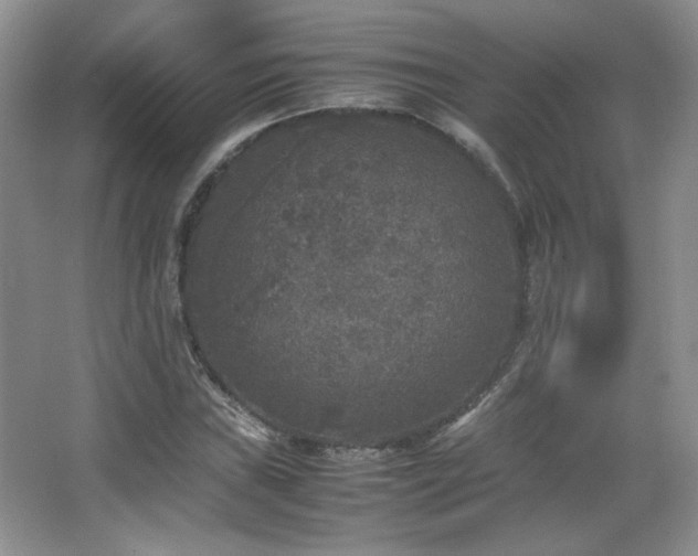 X0000067501019200604071221