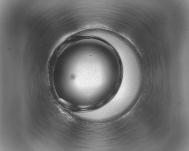 X0000067501022200604071221