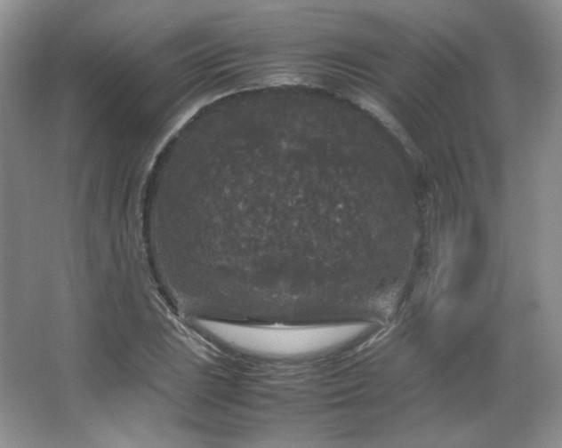 X0000067501023200604071221