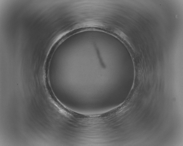 X0000067501024200604071221