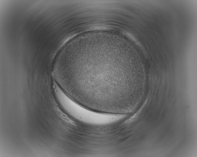 X0000067501025200604071221