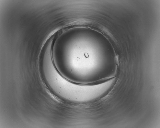 X0000067501026200604071221