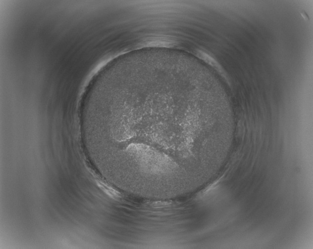 X0000067501027200604071221