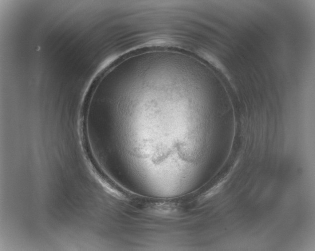 X0000067501029200604071221