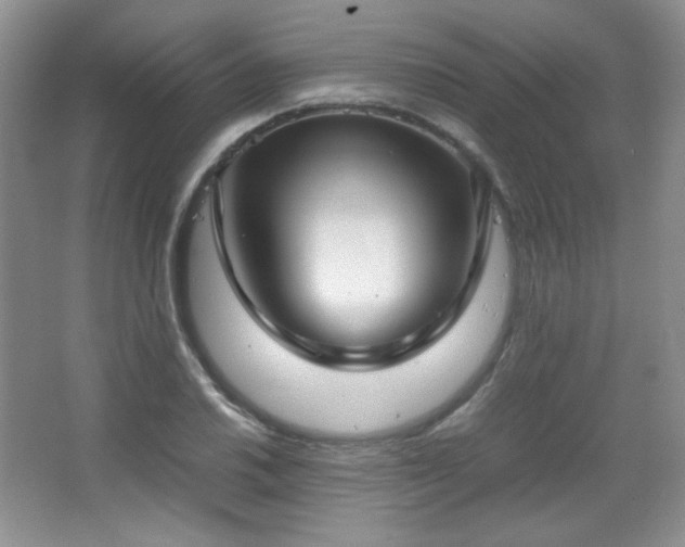 X0000067501030200604071221