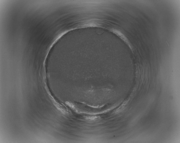 X0000067501031200604071221