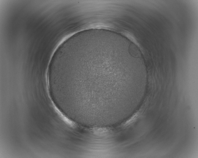 X0000067501032200604071221