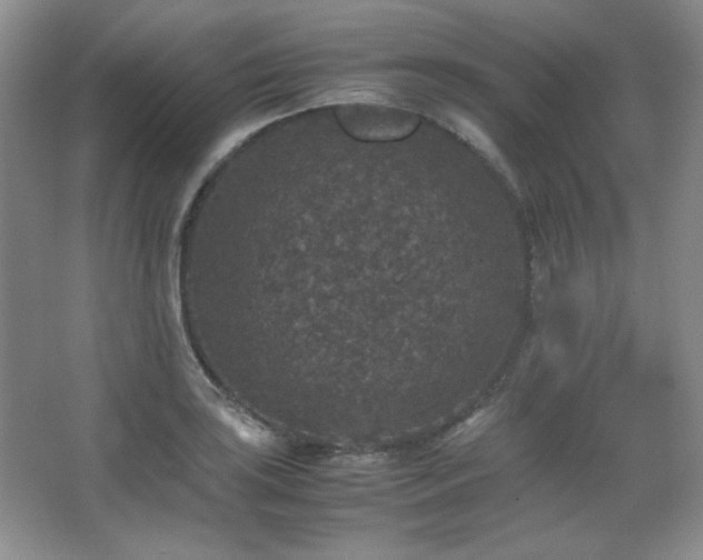 X0000067501035200604071221