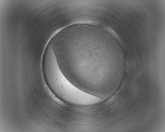 X0000067501036200604071221