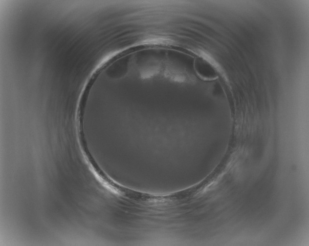 X0000067501037200604071221