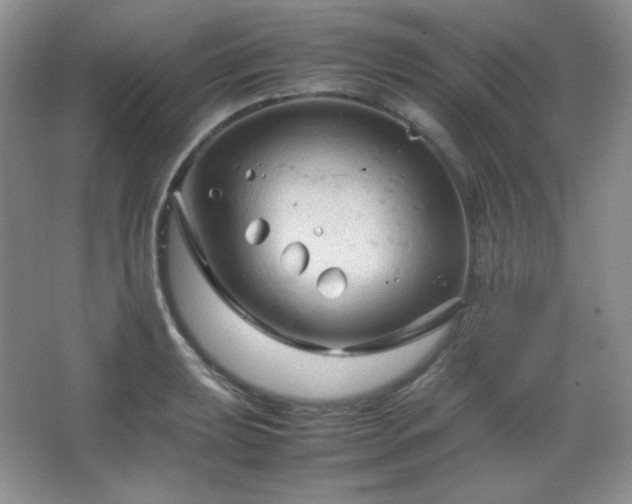 X0000067501039200604071221