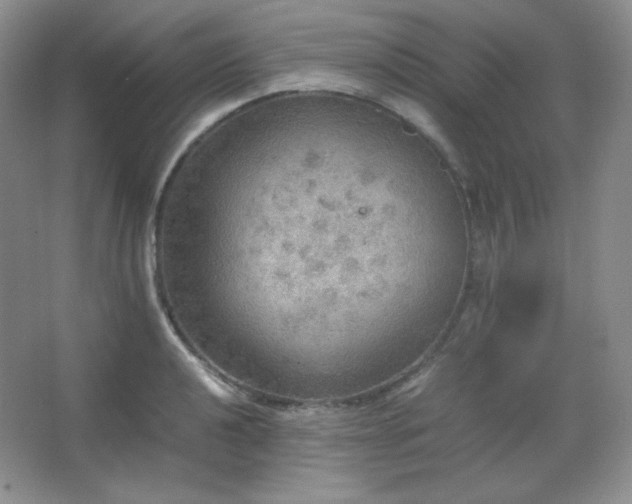 X0000067501040200604071221