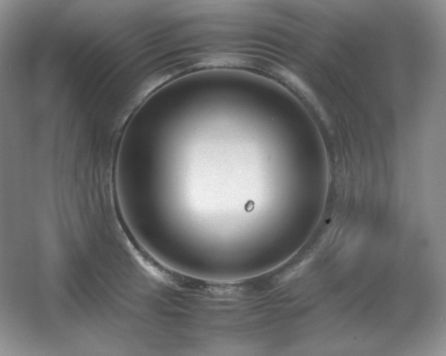 X0000067501041200604071221