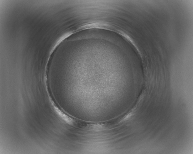 X0000067501042200604071221