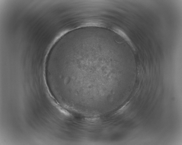 X0000067501043200604071221