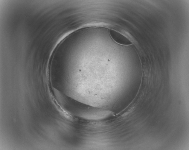 X0000067501044200604071221