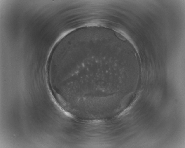 X0000067501045200604071221