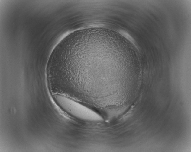 X0000067501047200604071221