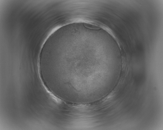 X0000067501048200604071221