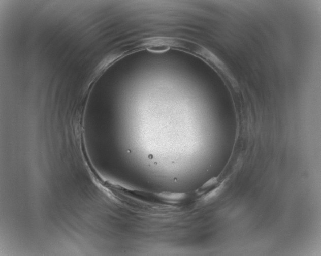 X0000067501049200604071221