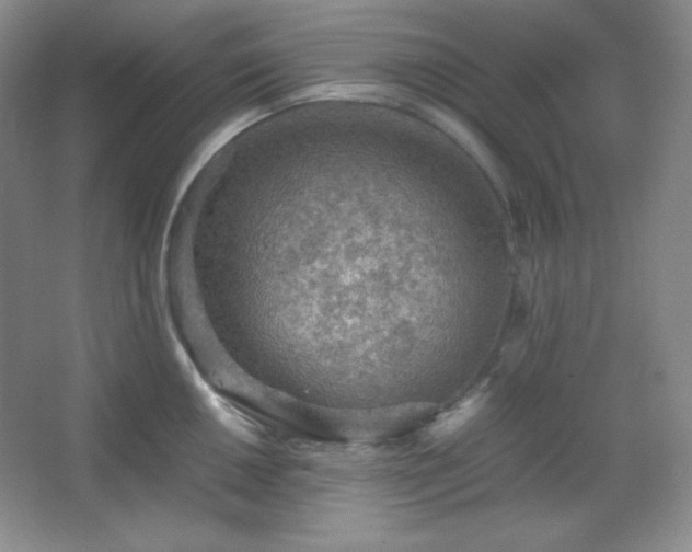 X0000067501050200604071221