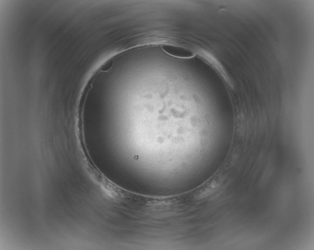 X0000067501051200604071221