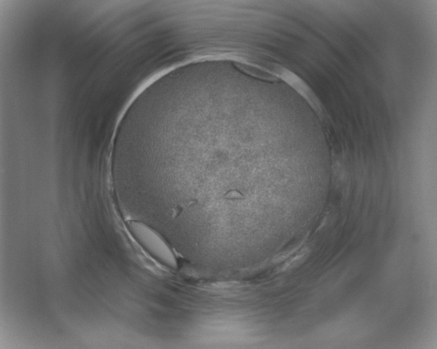 X0000067501052200604071221