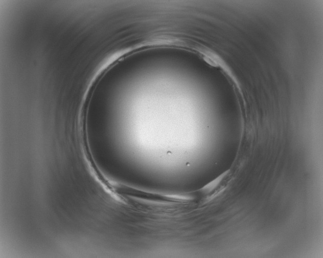 X0000067501053200604071221