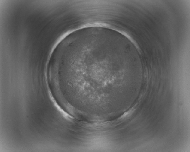 X0000067501054200604071221